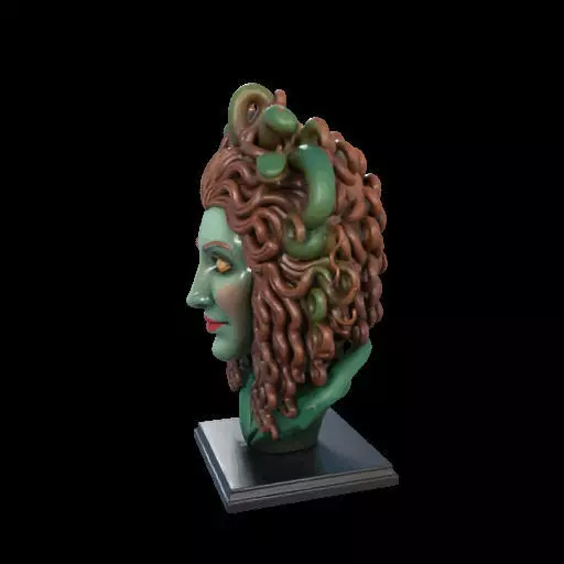 2163  Medusa Gorgon Head 3D Model  magic 3D print model_17
