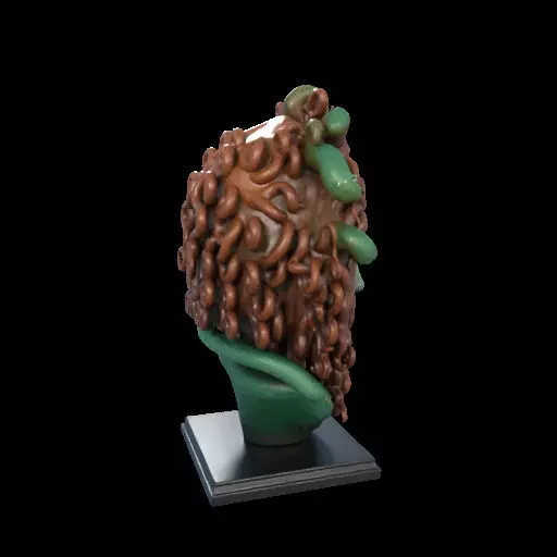 2163  Medusa Gorgon Head 3D Model  magic 3D print model_29