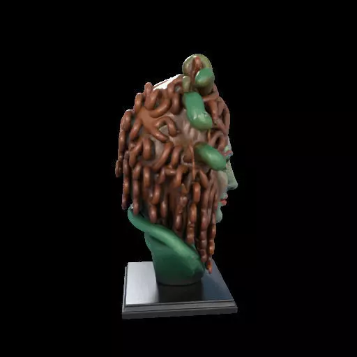 2163  Medusa Gorgon Head 3D Model  magic 3D print model_28