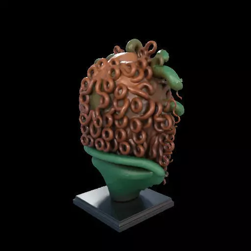 2163  Medusa Gorgon Head 3D Model  magic 3D print model_3