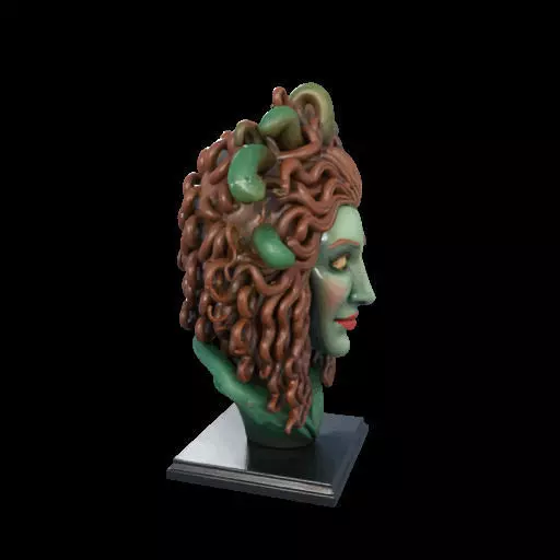 2163  Medusa Gorgon Head 3D Model  magic 3D print model_26