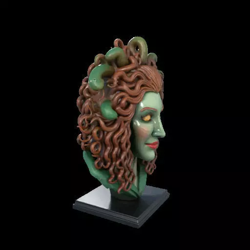 2163  Medusa Gorgon Head 3D Model  magic 3D print model_25