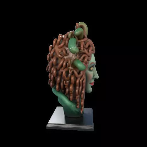 2163  Medusa Gorgon Head 3D Model  magic 3D print model_27