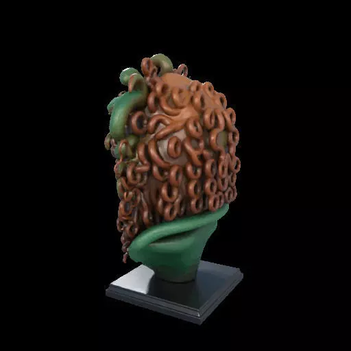 2163  Medusa Gorgon Head 3D Model  magic 3D print model_13