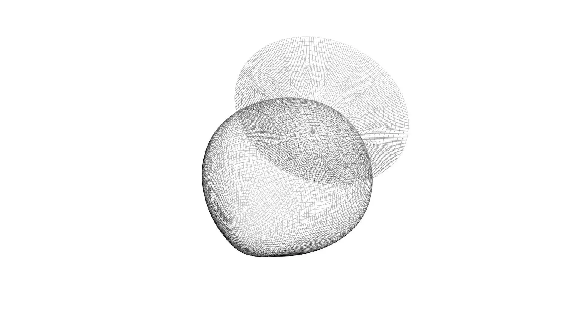 Strawberry 3D model_26