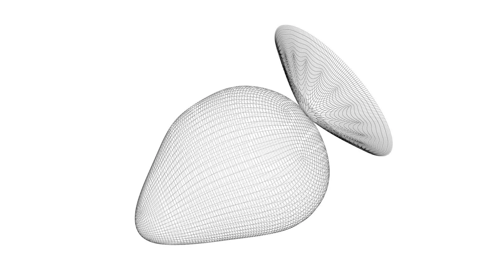 Strawberry 3D model_20