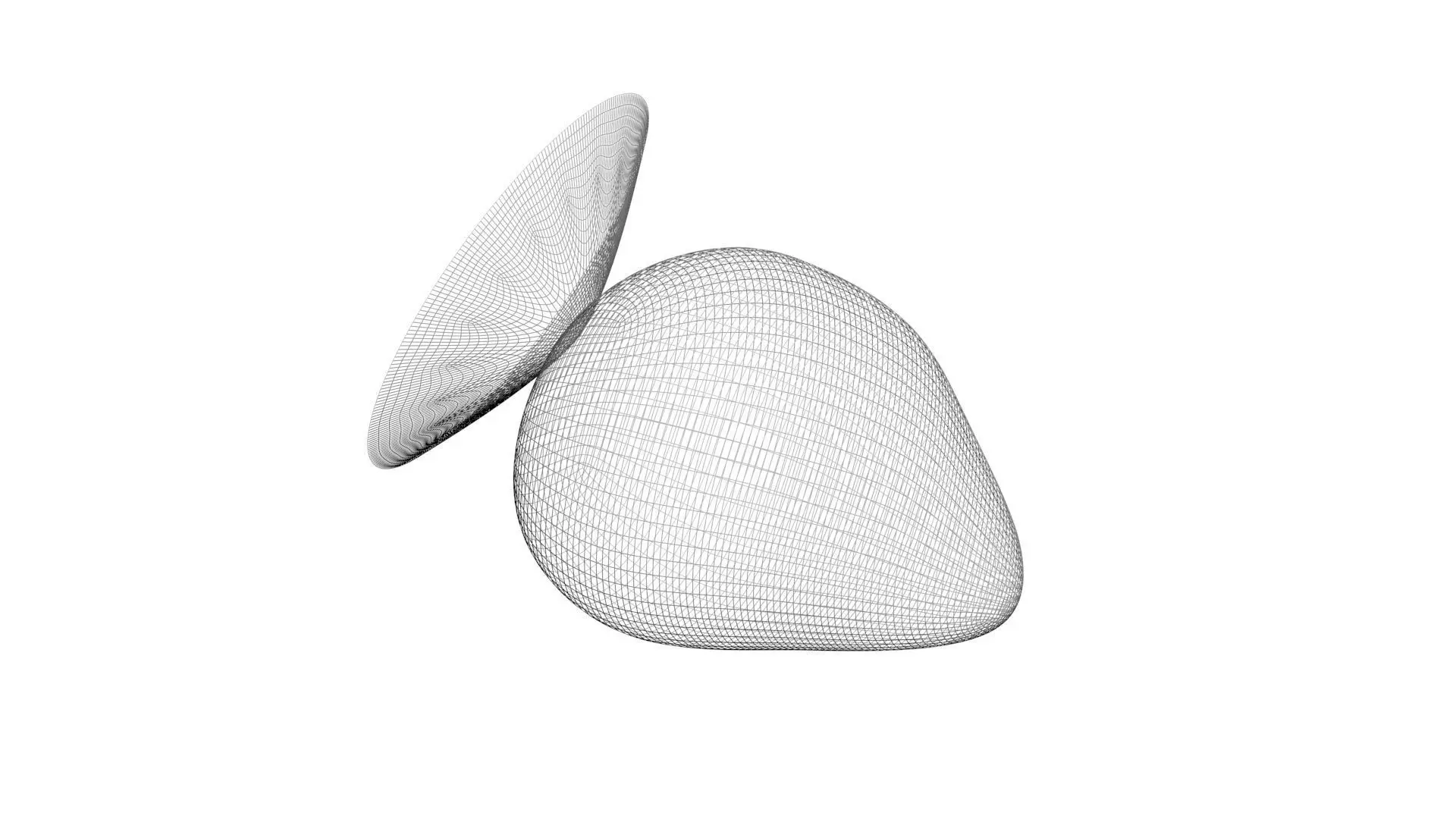 Strawberry 3D model_27