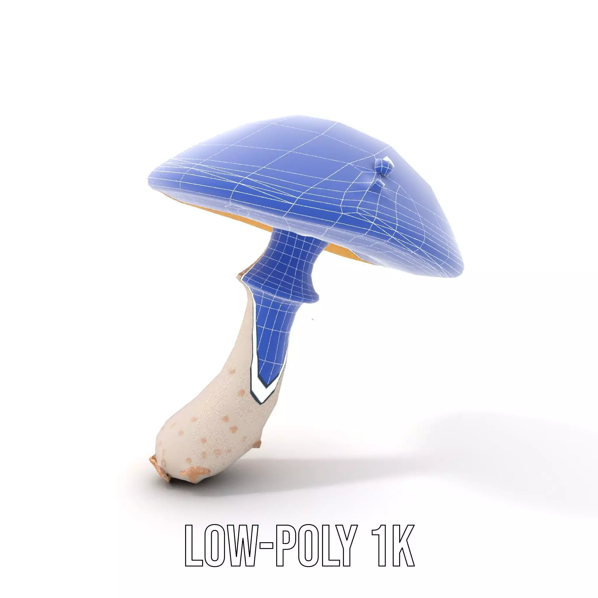 Cosmic Mushroom model pack Low-poly 3D model_9