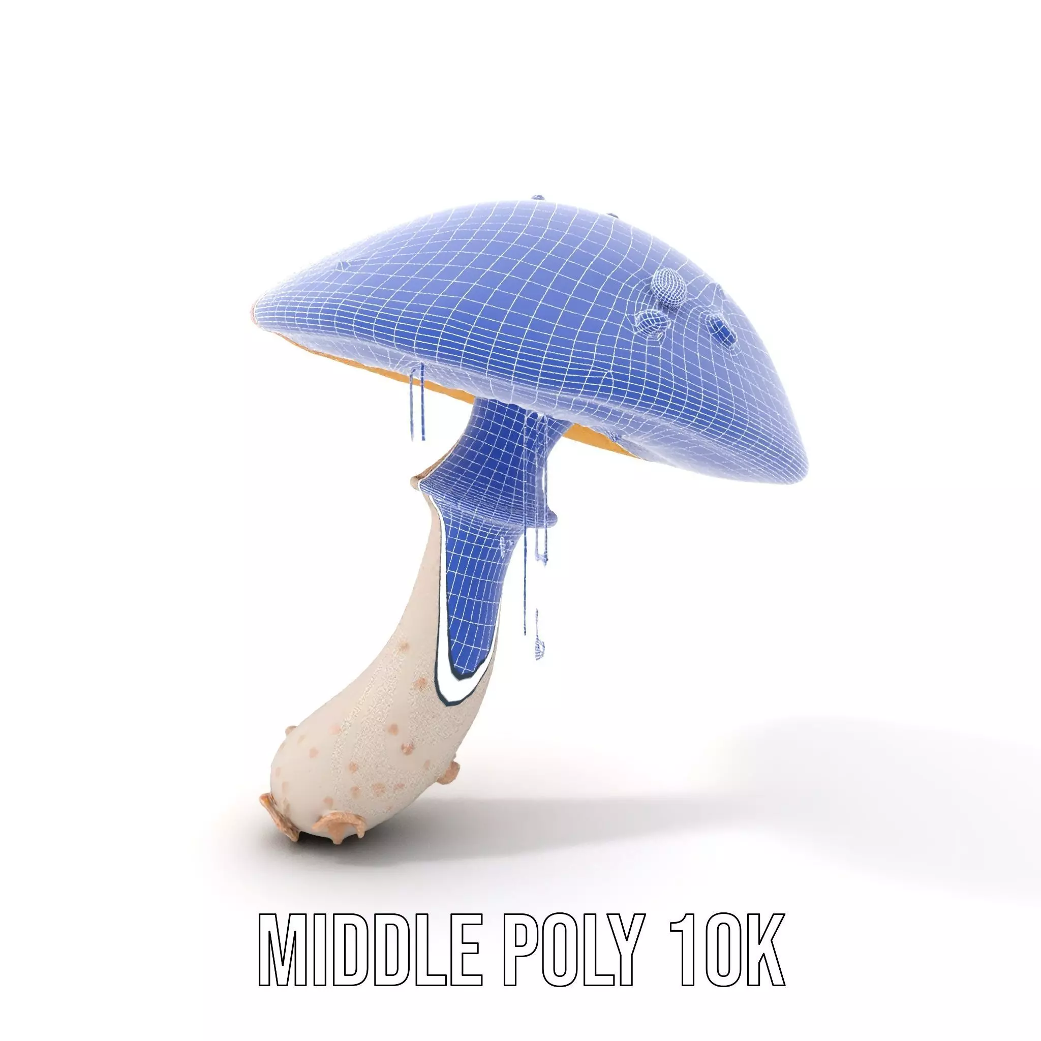 Cosmic Mushroom model pack Low-poly 3D model_13