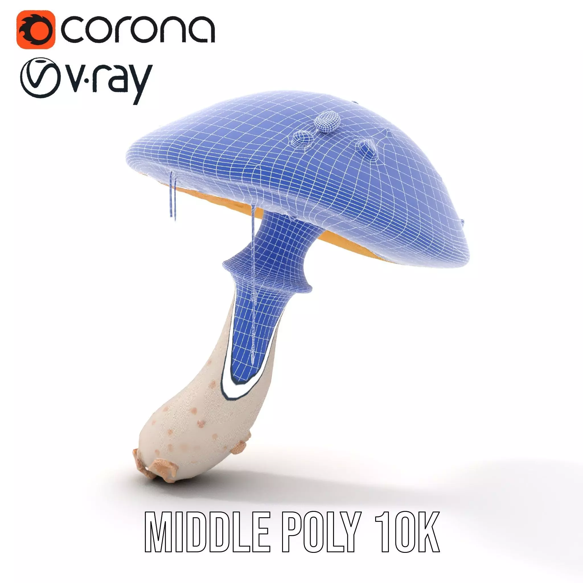 Cosmic Mushroom model pack Low-poly 3D model_24