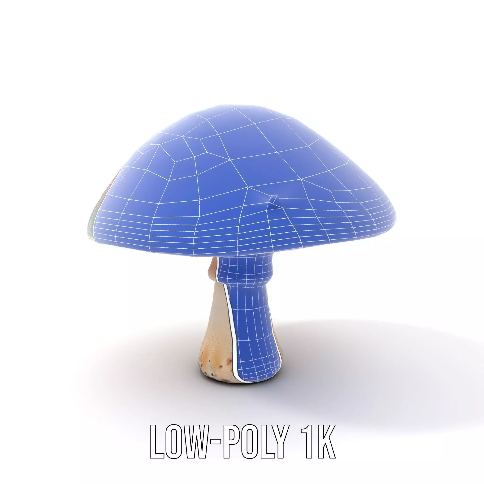 Iridescent Mushroom model pack Low-poly 3D model_12