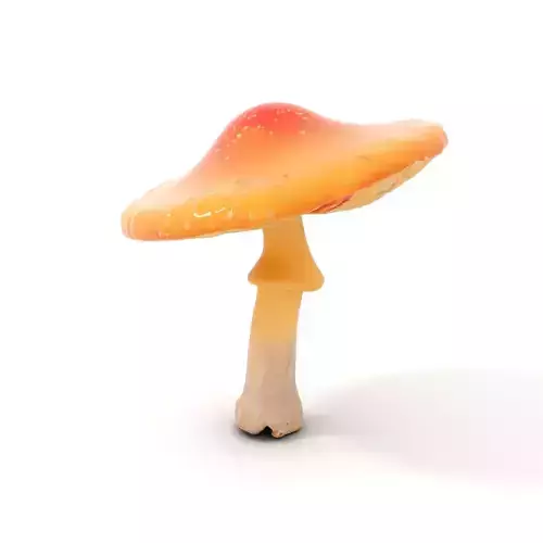 Vivid Amanita Mushroom model pack