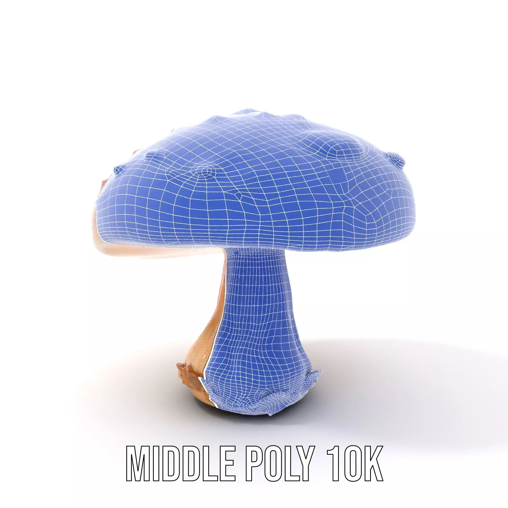 Glowing Mushroom model pack Low-poly 3D model_16