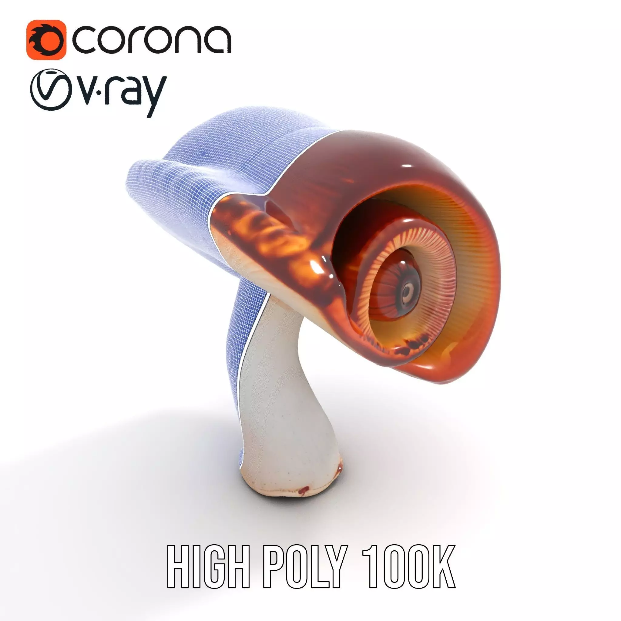 Curved Spiral Mushroom model pack Low-poly 3D model_32