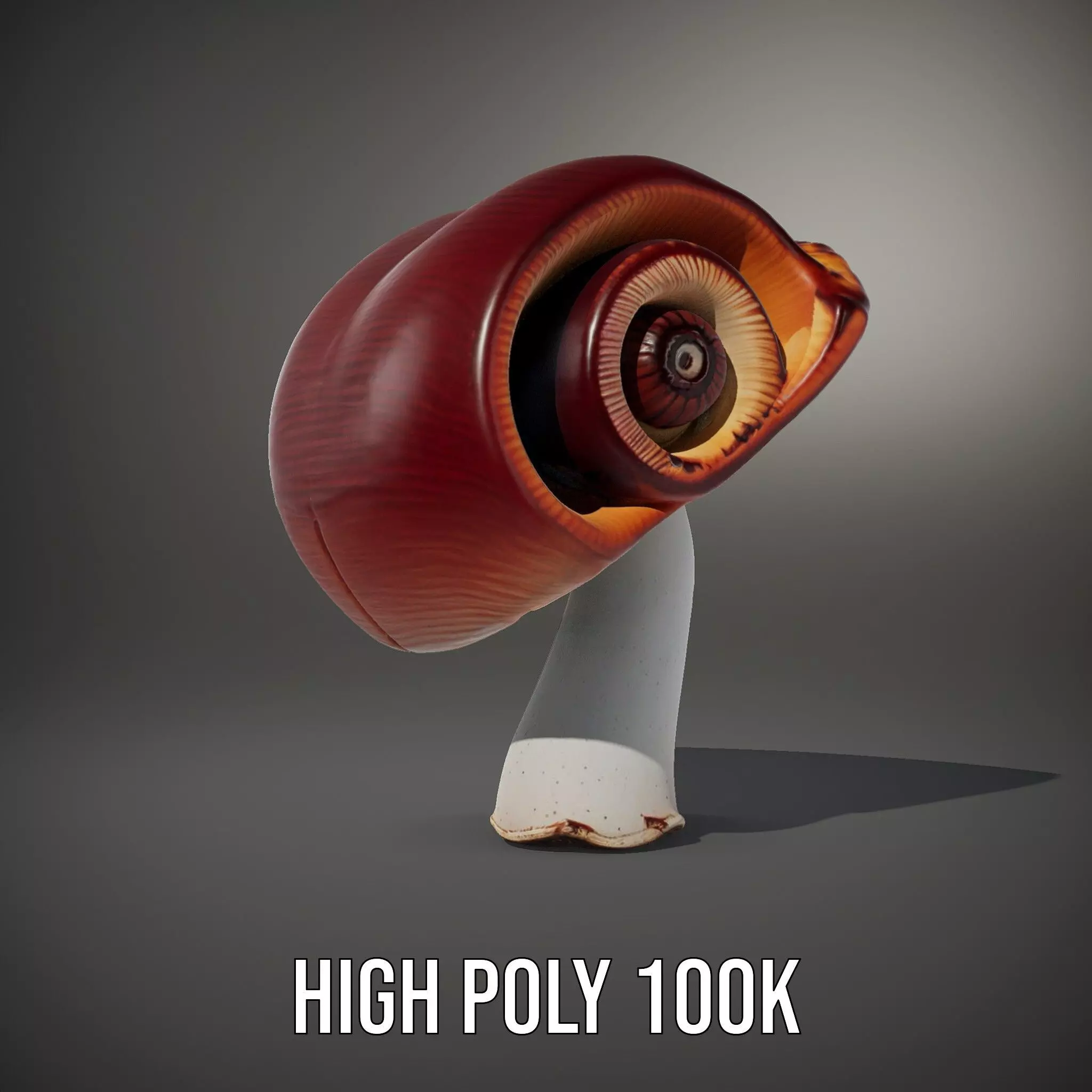 Curved Spiral Mushroom model pack Low-poly 3D model_10