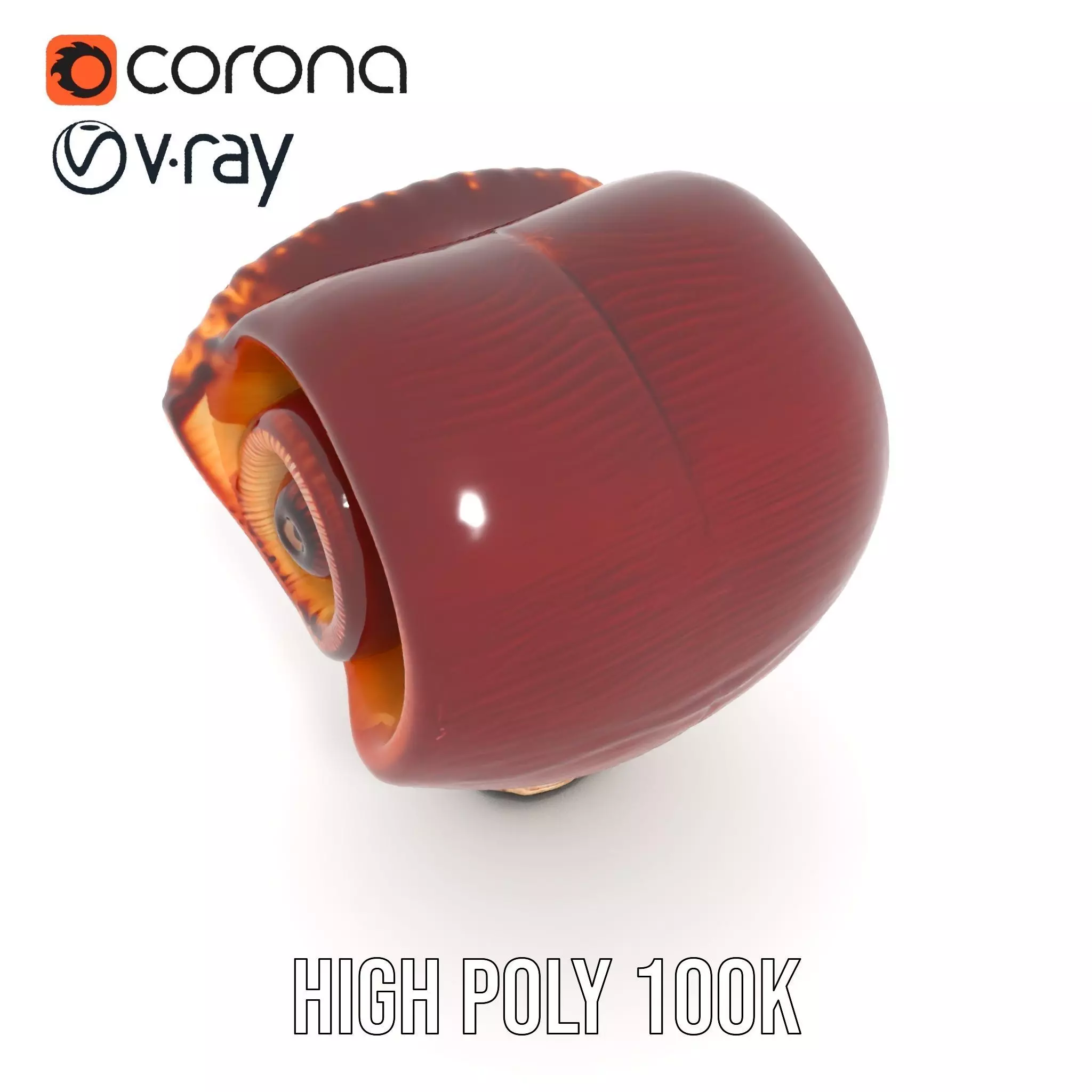 Curved Spiral Mushroom model pack Low-poly 3D model_29