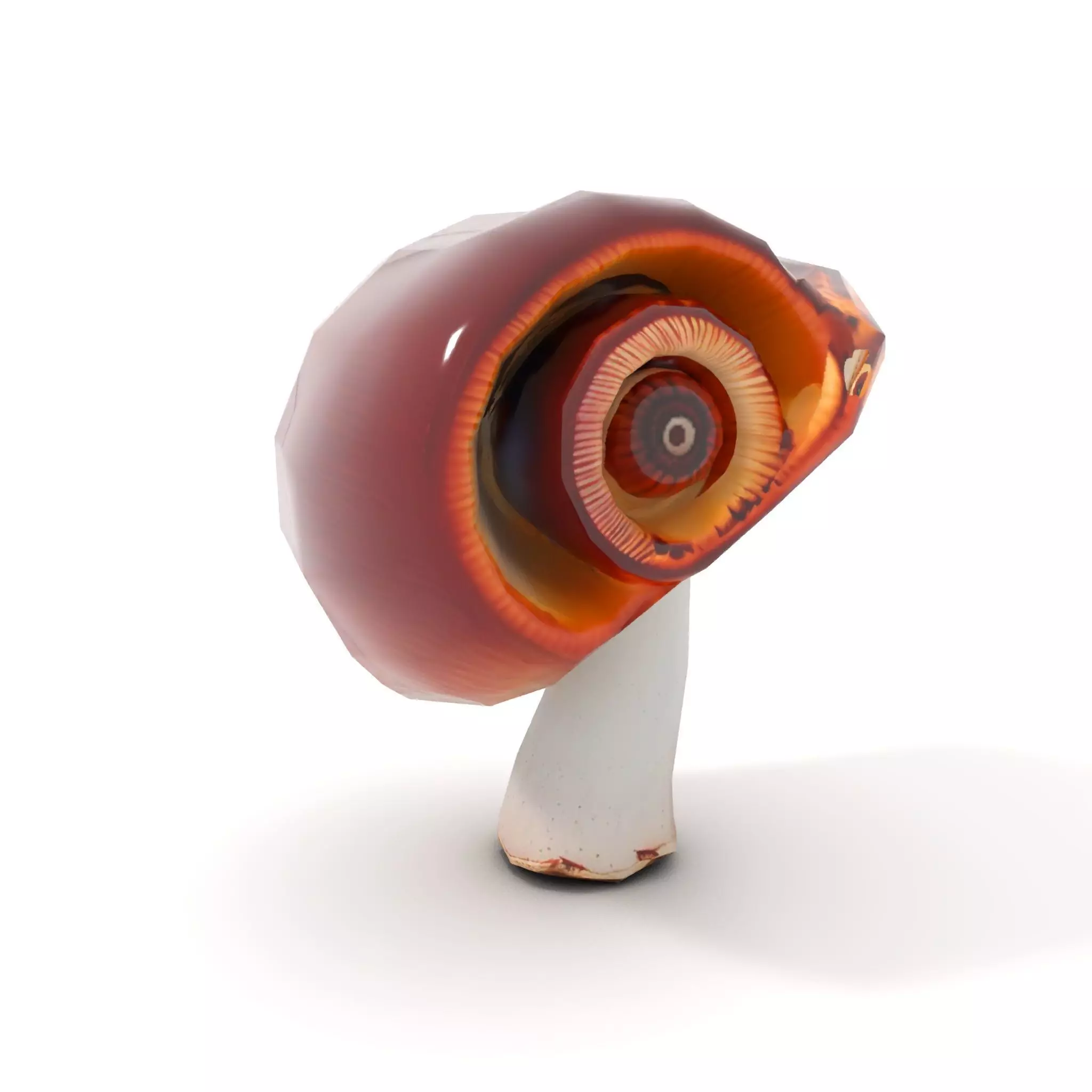 Curved Spiral Mushroom model pack Low-poly 3D model_7