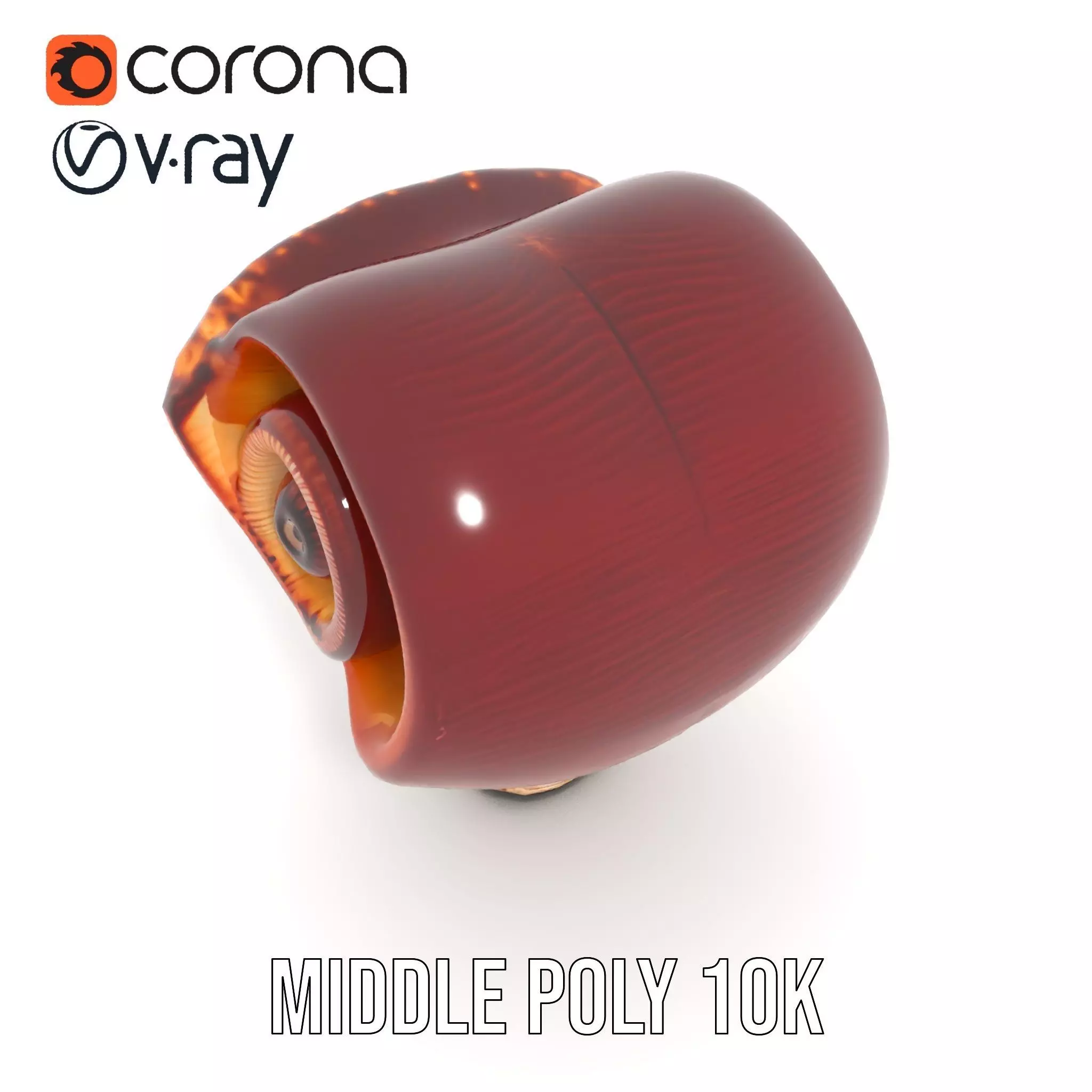 Curved Spiral Mushroom model pack Low-poly 3D model_27