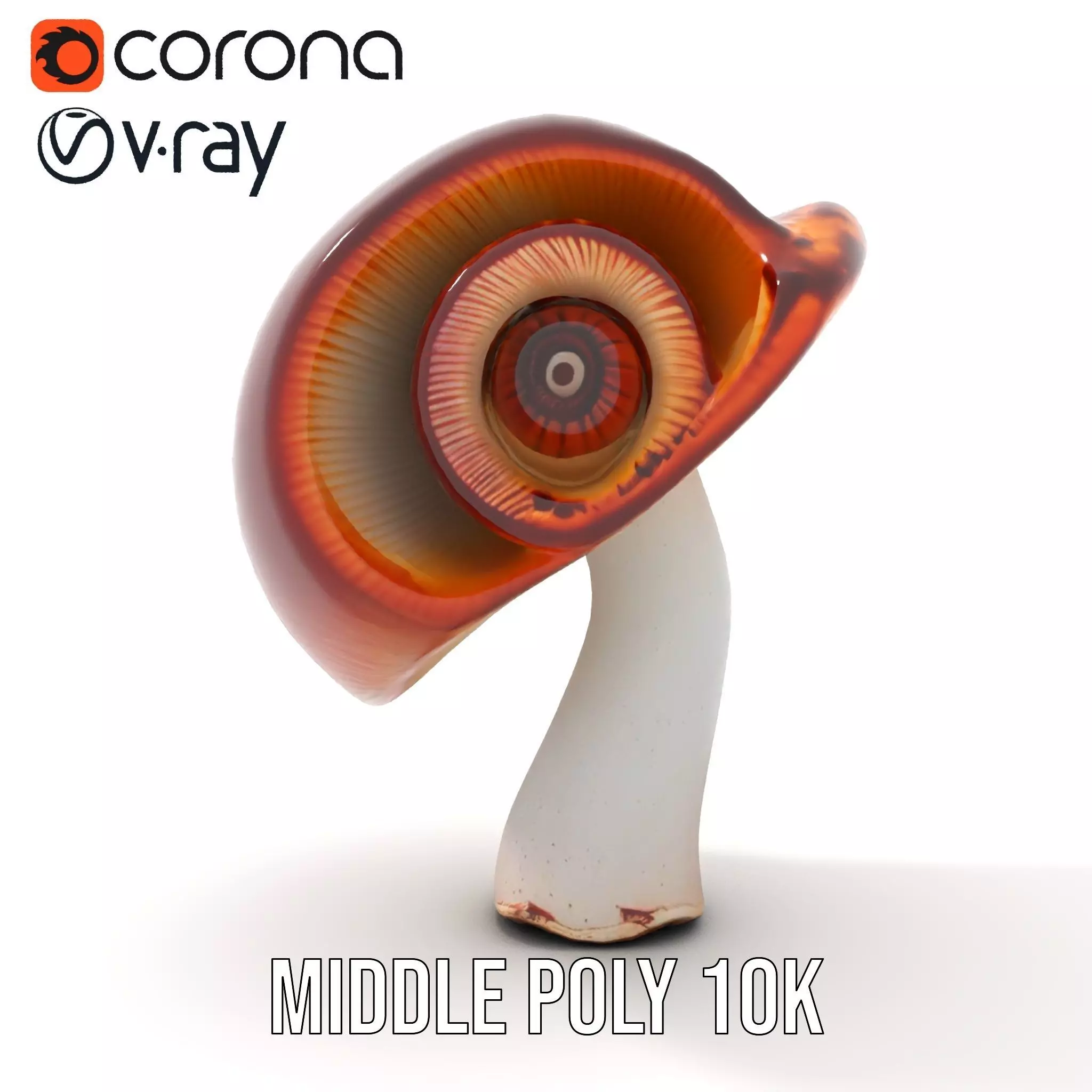 Curved Spiral Mushroom model pack Low-poly 3D model_5