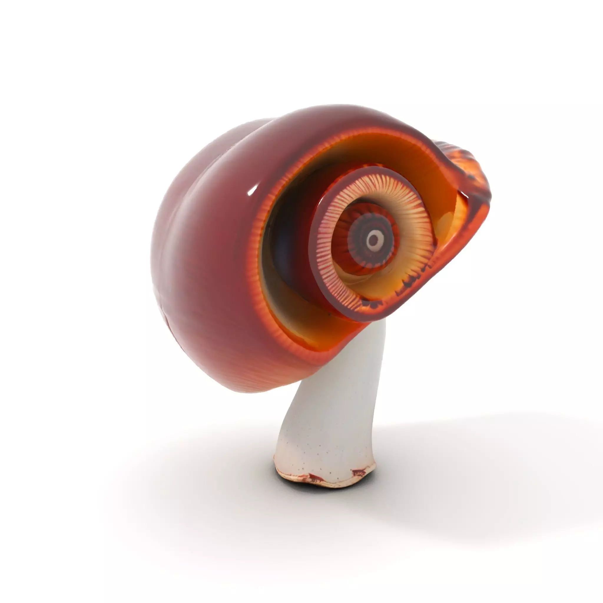 Curved Spiral Mushroom model pack Low-poly 3D model_0