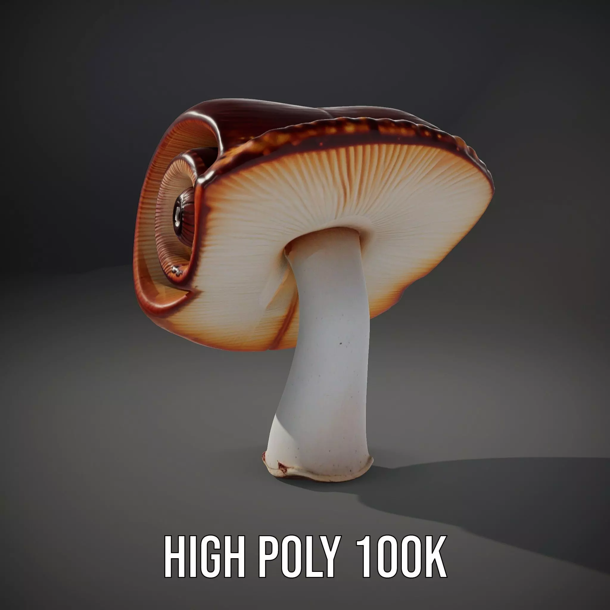 Curved Spiral Mushroom model pack Low-poly 3D model_8
