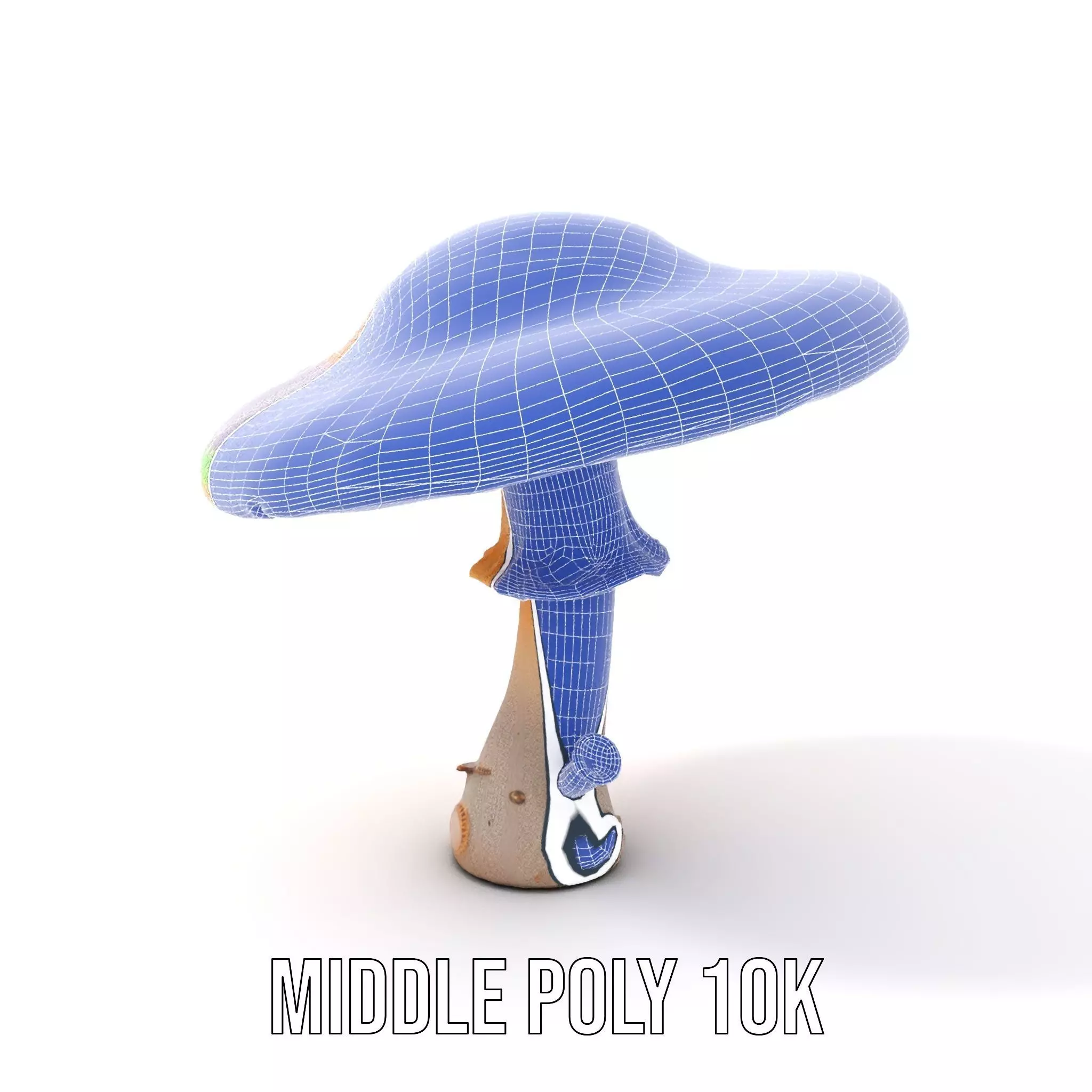 Vibrant Fantasy Mushroom model pack Low-poly 3D model_18