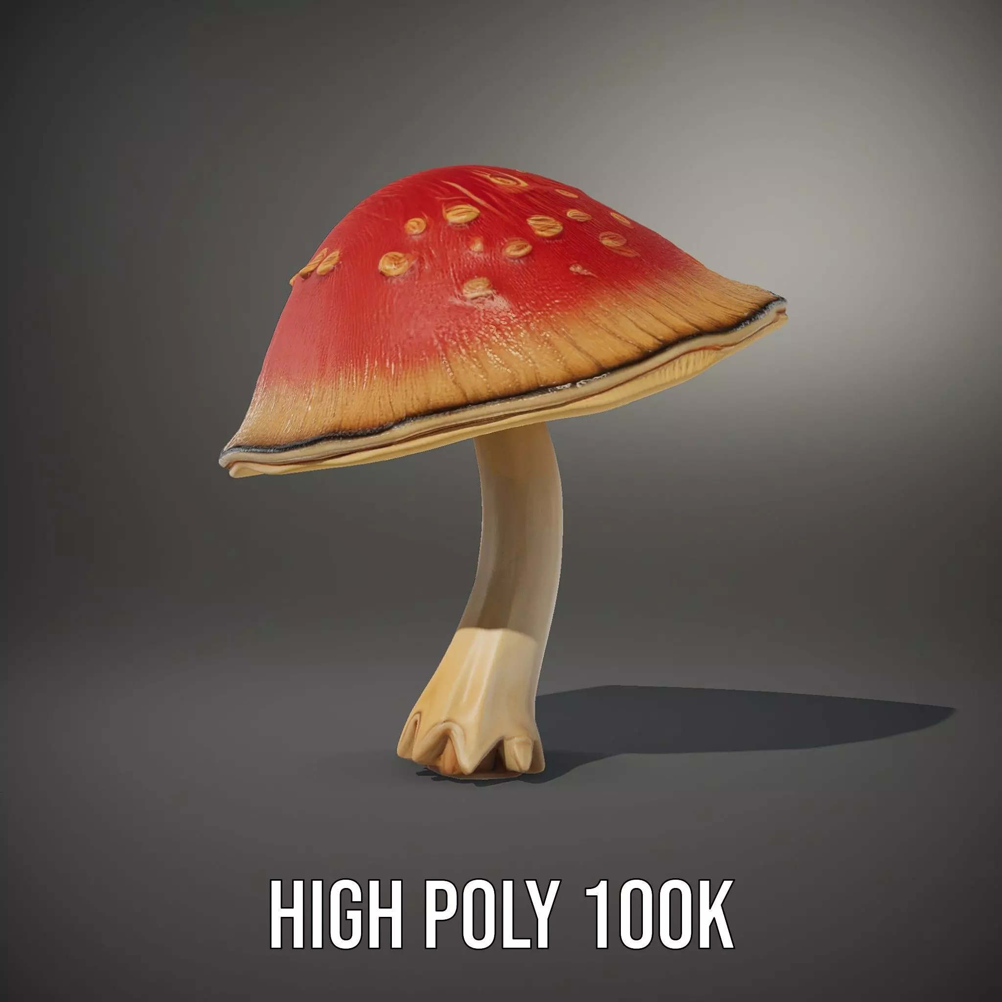 Pink Mushroom Cap model pack Low-poly 3D model_12