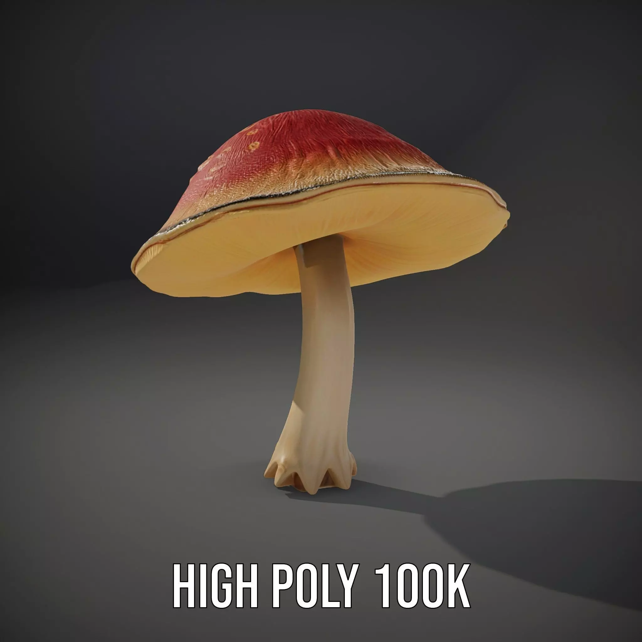 Pink Mushroom Cap model pack Low-poly 3D model_8
