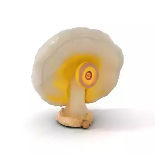 Glowing Spiral Mushroom model pack Low-poly 3D model