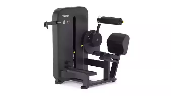 Technogym Selectorized Artis Lower Back