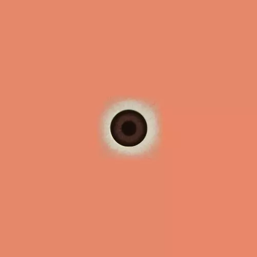 Female Demon Boss 3D model_18