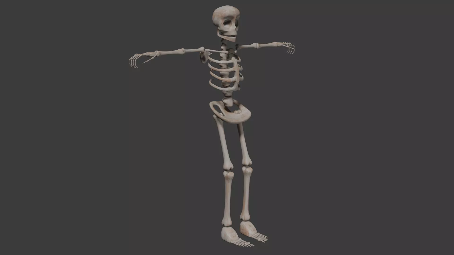 Human Skeleton 3D model_0