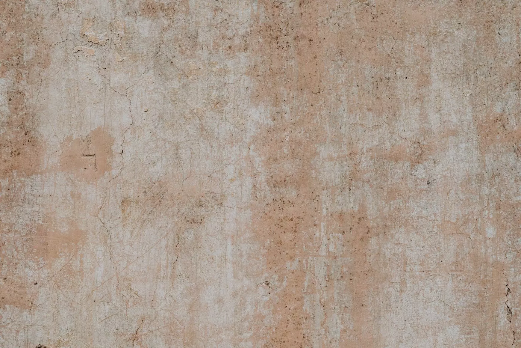 Human Skeleton 3D model_7