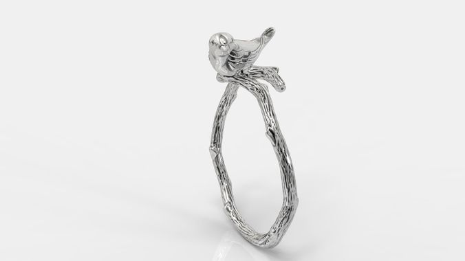 Bird ring 3D print model