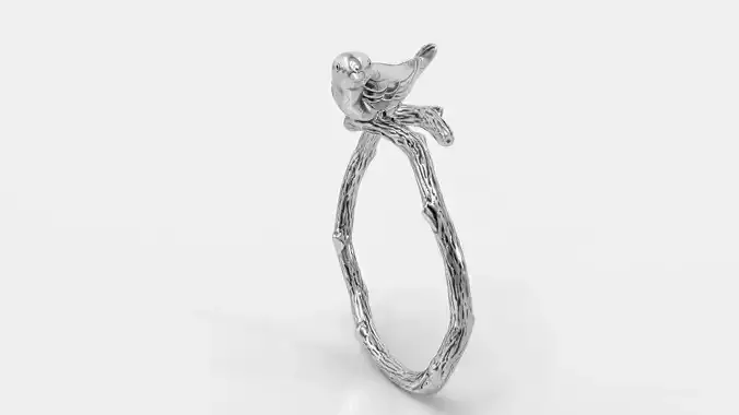 Bird ring
