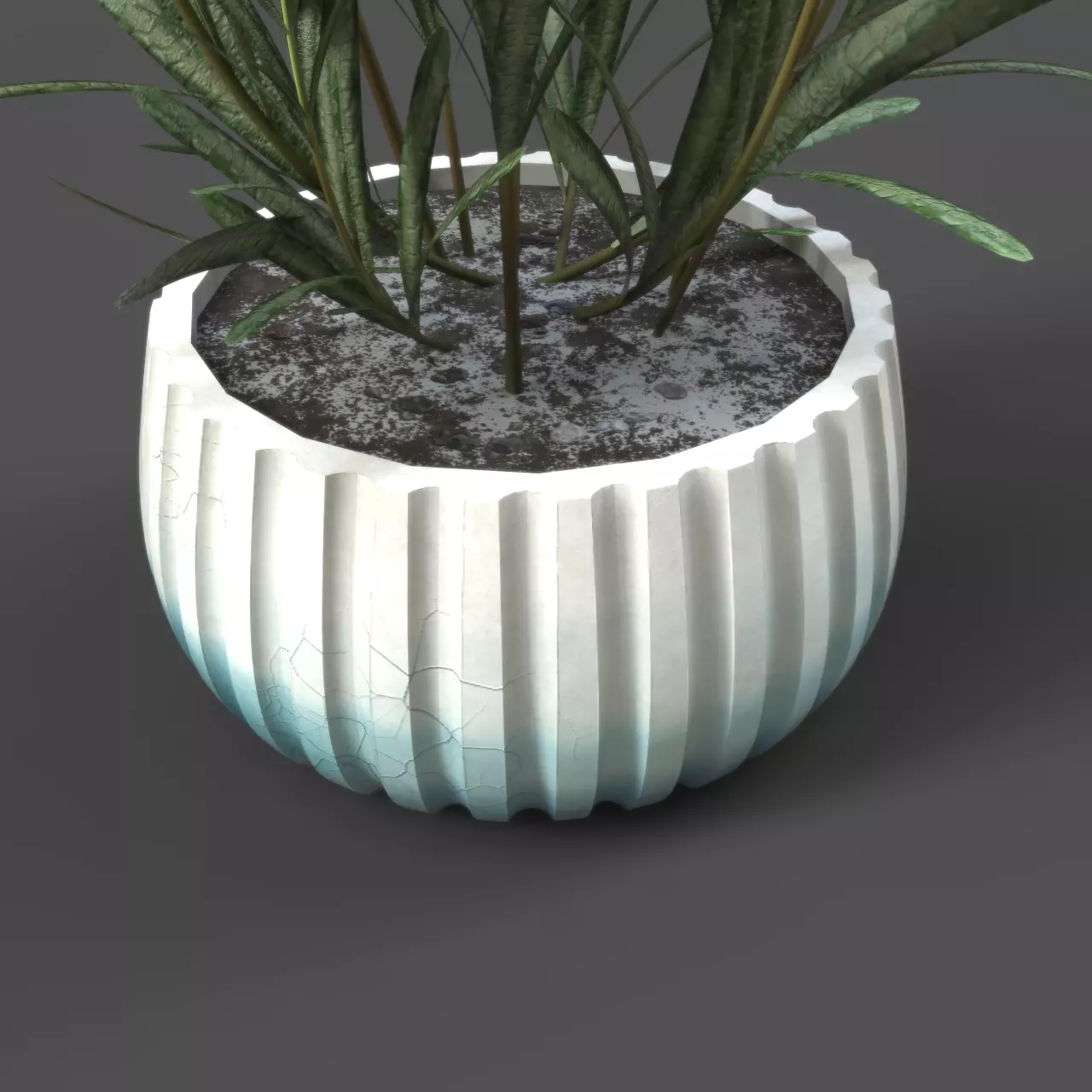 Rosemary Plant in Pot  3D model_5