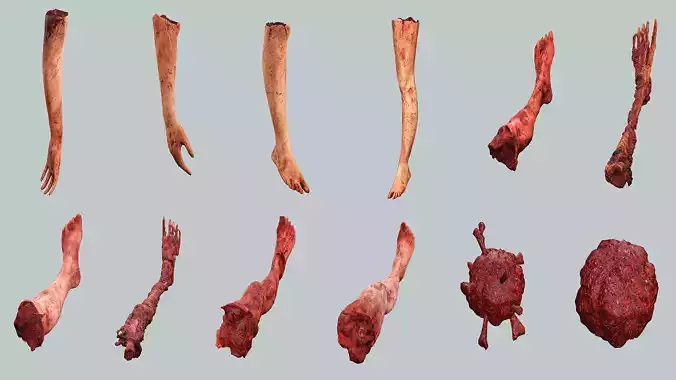 Horror Assets Human Corpse Body Part Collection X5 Pack 3D Model
