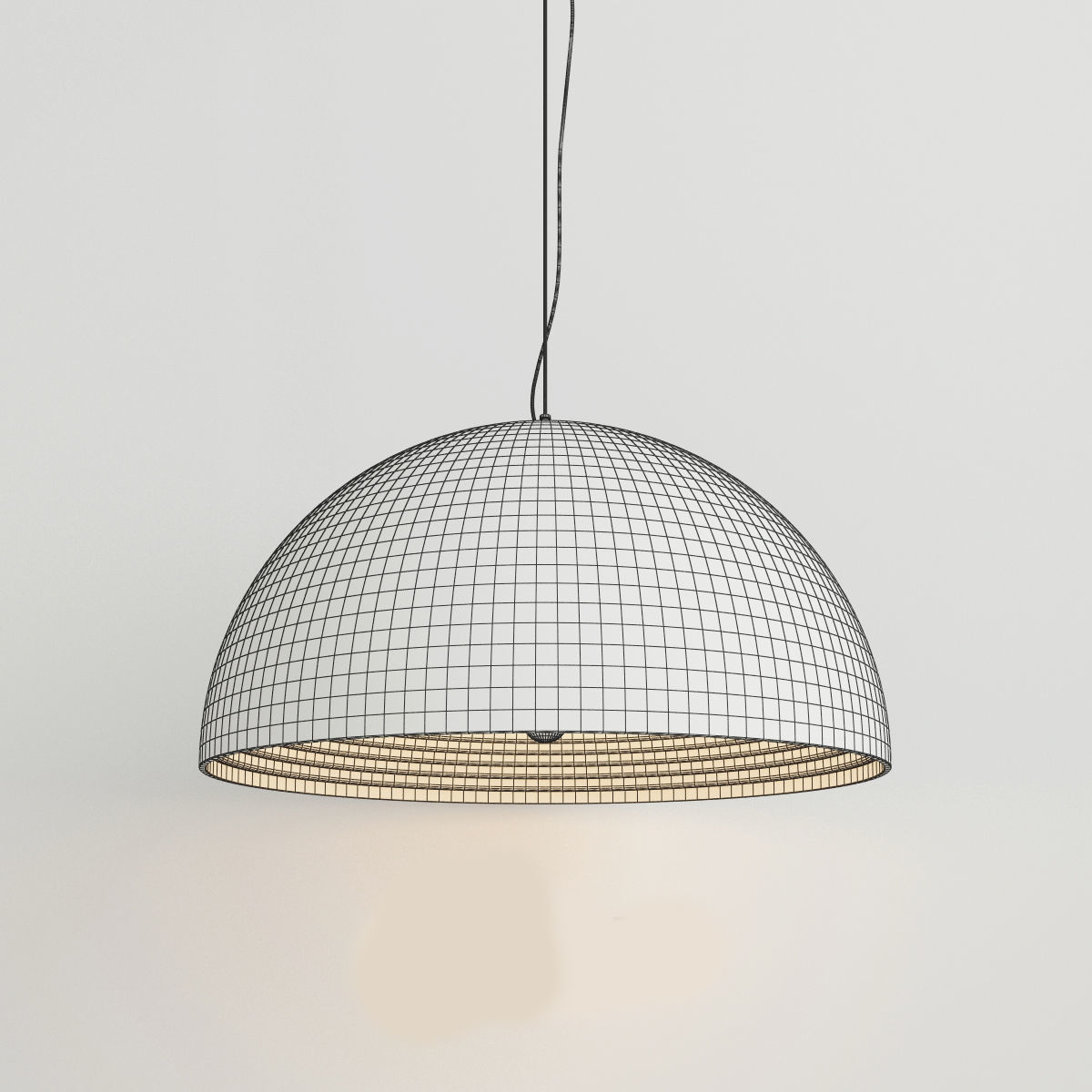 SALISHAN PENDANT LAMP 3D model_2