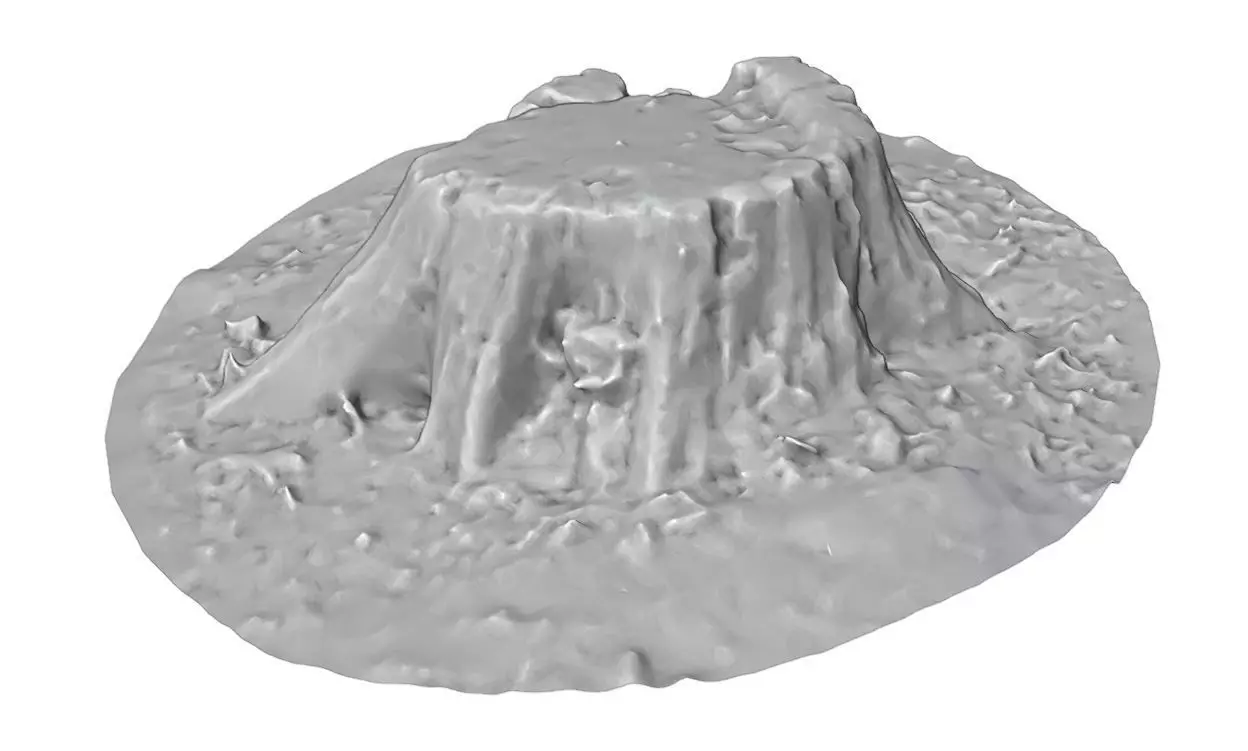 Old tree stump Low-poly 3D model_11