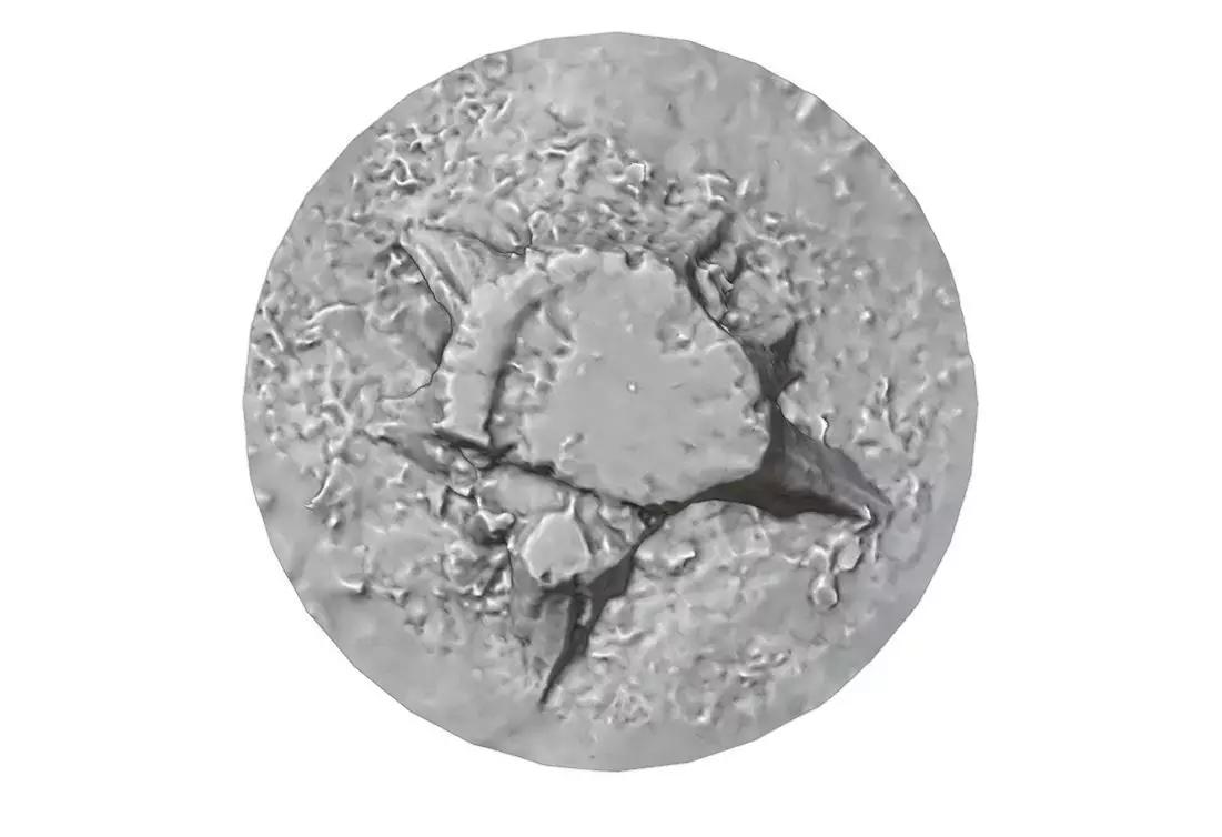 Old tree stump Low-poly 3D model_13