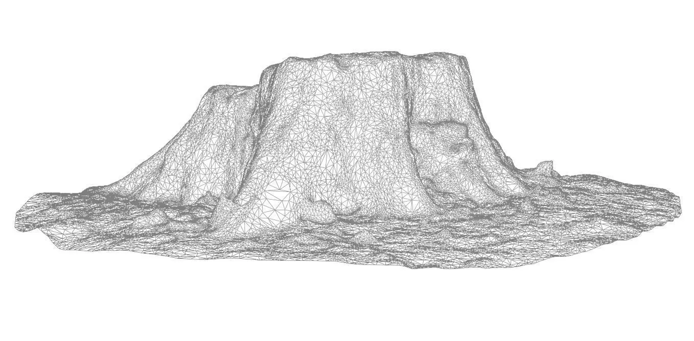 Old tree stump Low-poly 3D model_9