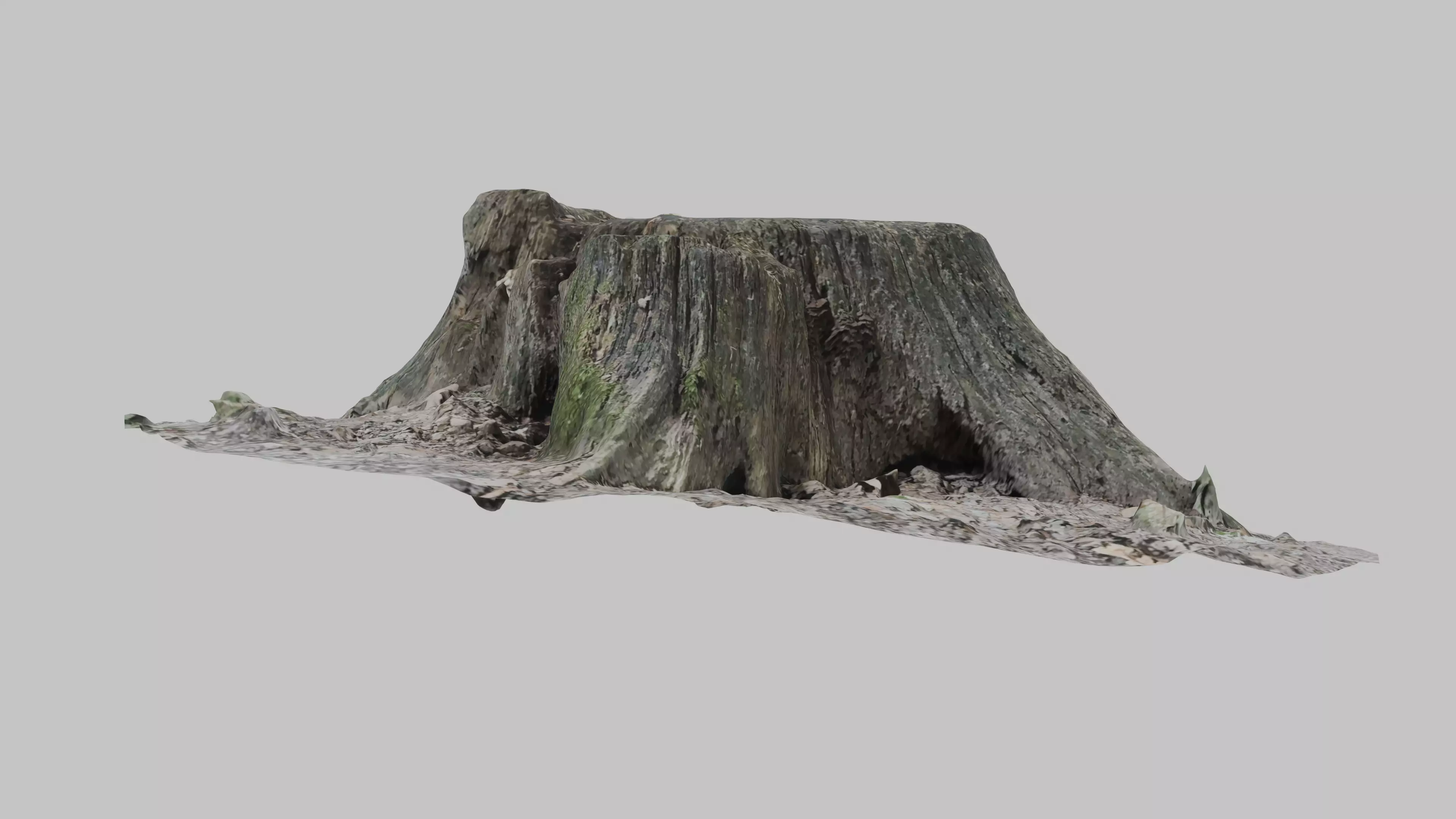 Old tree stump Low-poly 3D model_2