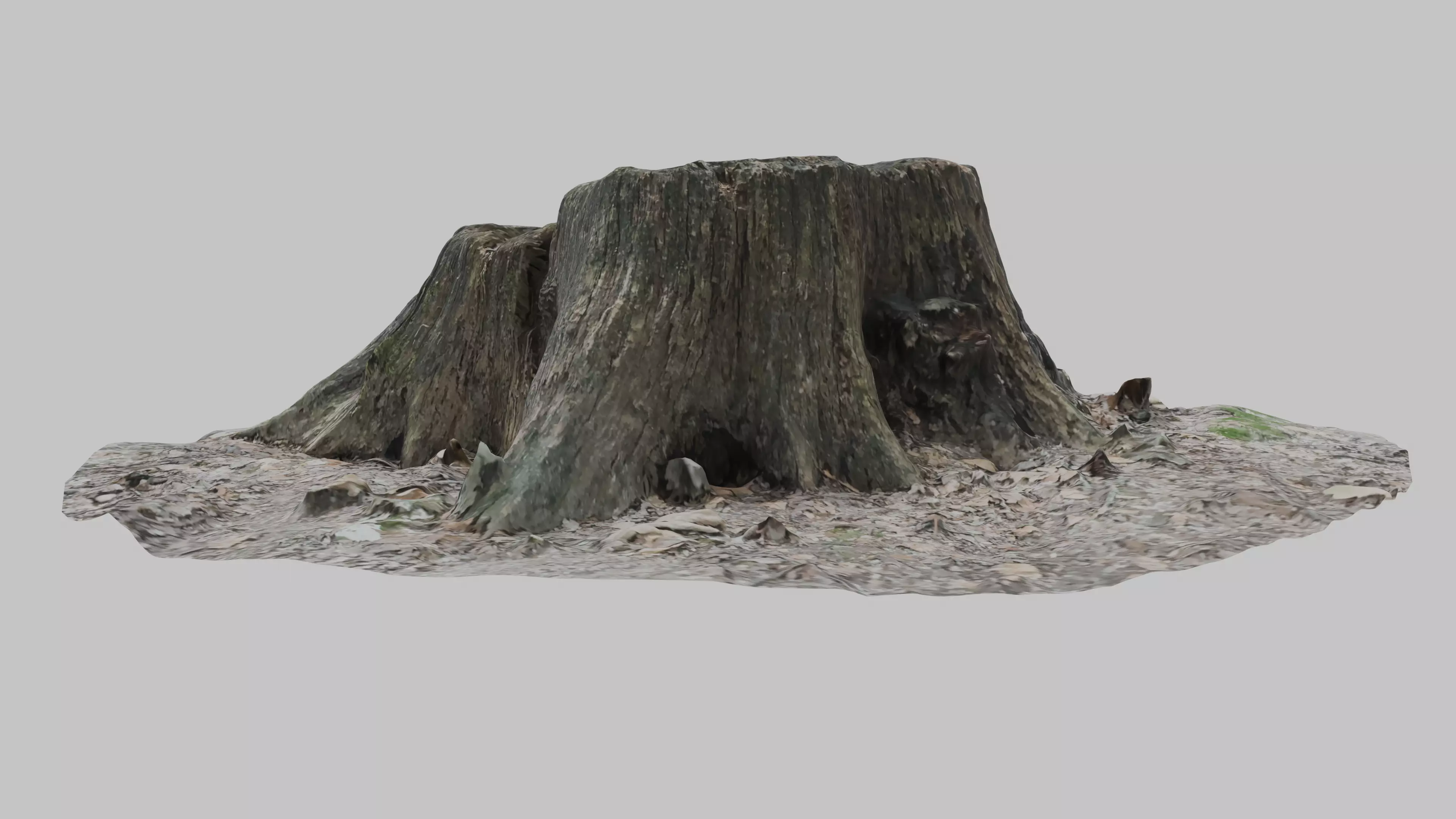 Old tree stump Low-poly 3D model_4