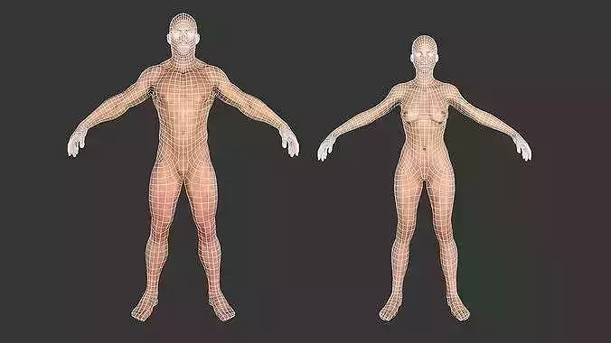 Realistic Male and Female Base Mesh
