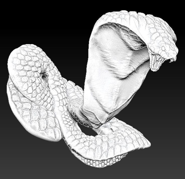king cobra 3D print model_1