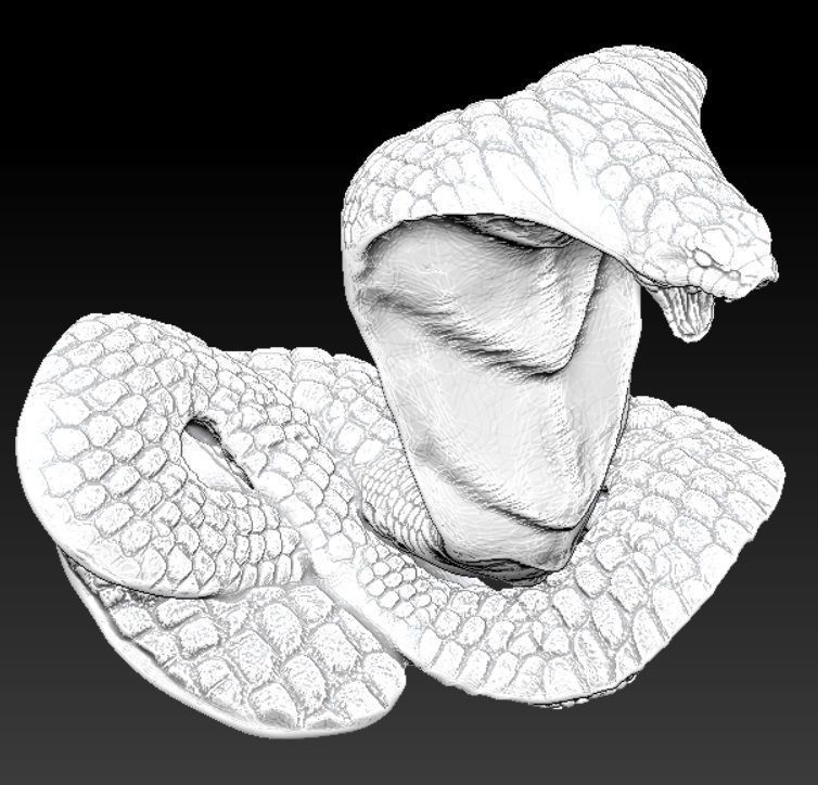 king cobra 3D print model_2