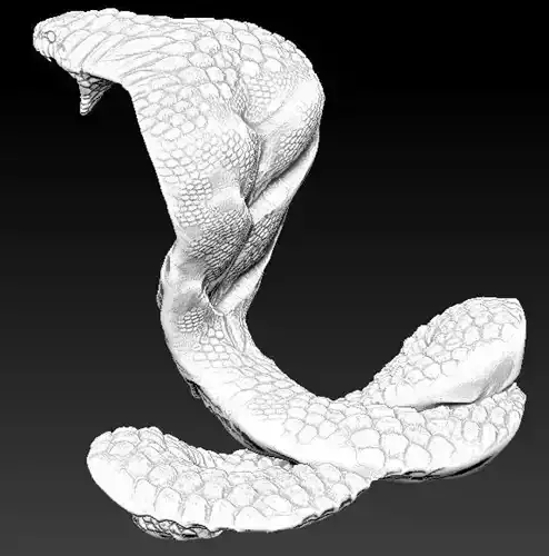 king cobra 3D print model