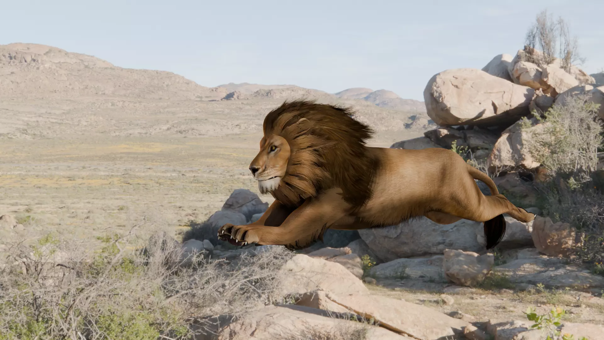 Realistic Animals Savannah - Lion Low-poly 3D model_5