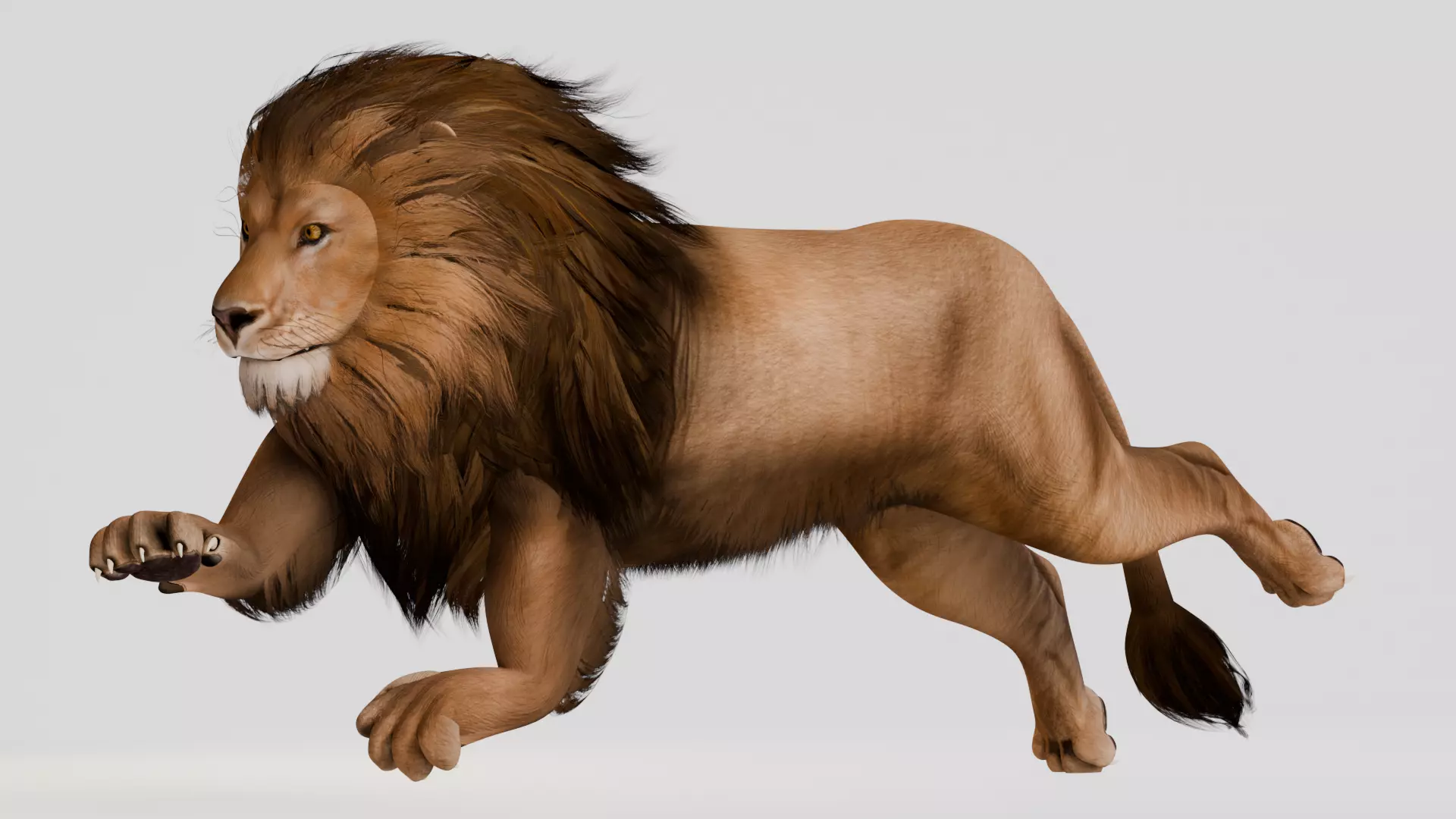 Realistic Animals Savannah - Lion Low-poly 3D model_7