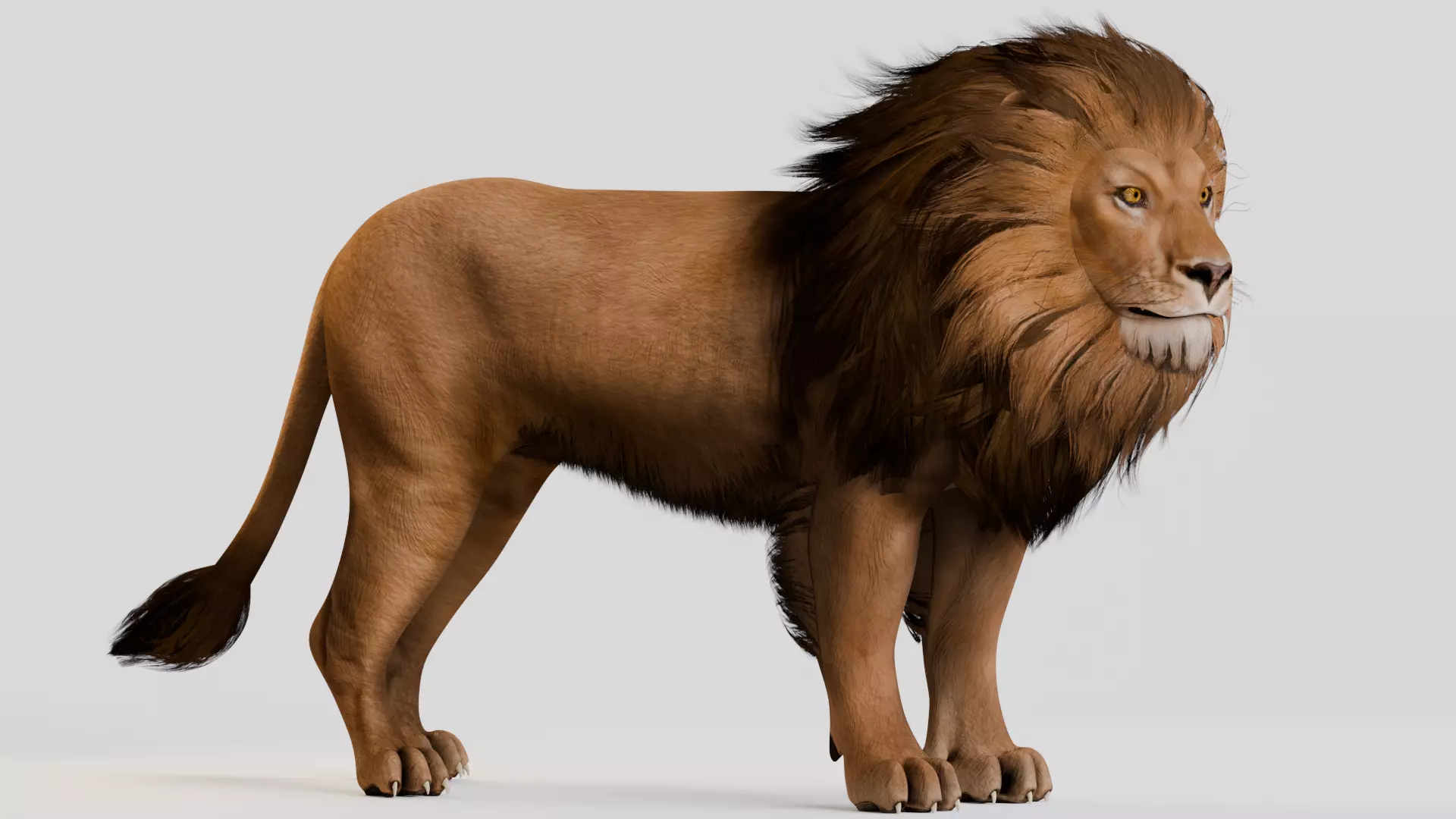 Realistic Animals Savannah - Lion Low-poly 3D model_6